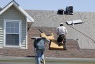 Guyraskylights-2.jpg; ?>
